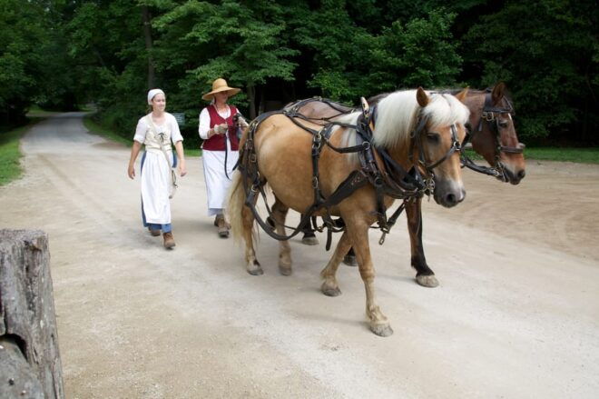 Mount Vernon: George Washingtons Estate With Audio Guide - Customer Reviews and Ratings