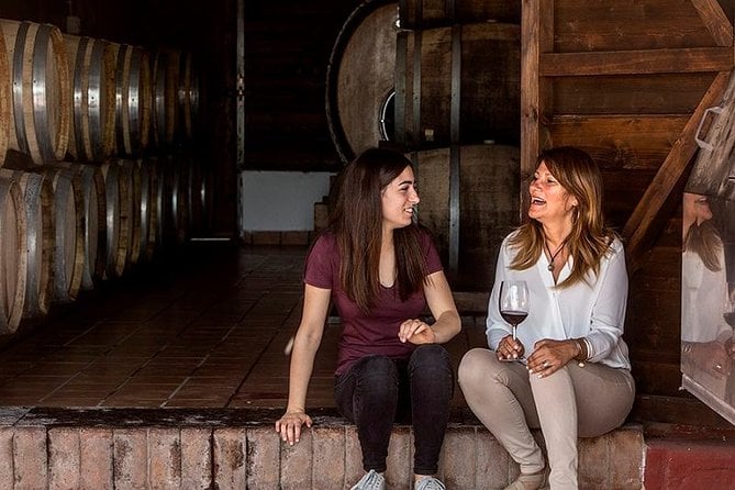 Mount Vesuvio Organic Wine Tasting & Lunch With Transfer From Sorrento Peninsula - Inclusions and Amenities