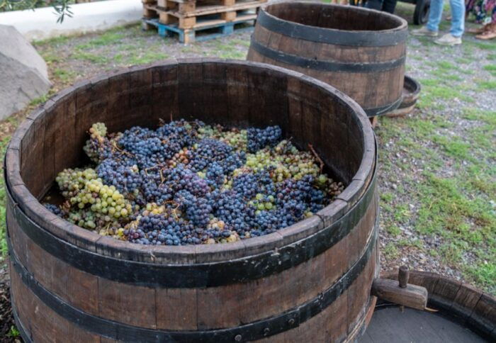 Mount Vesuvius: 5 Wine Tastings With Tour & Lunch Included - Reserve Your Spot Today!