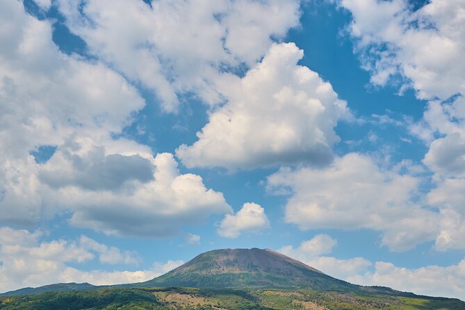 Mount Vesuvius Crater Visit From Naples - Maximum Travelers and Pricing
