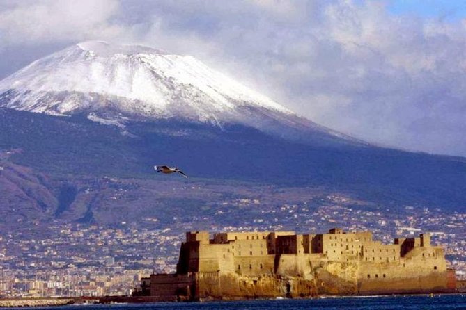 Mount Vesuvius Half-Day Private Tour From Naples - Itinerary Details