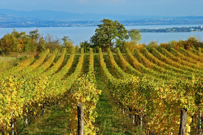 Mount Vesuvius Private Round-Trip Transfer From Naples (Feb ) - Traveler Experience