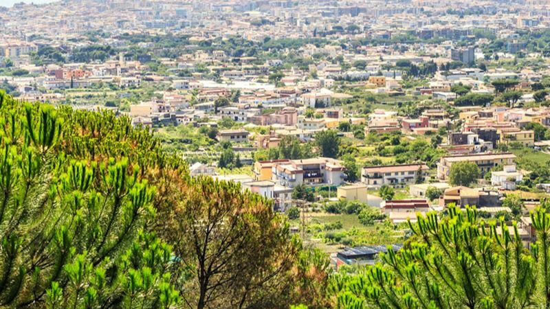 Mount Vesuvius ticket with guidebook in Campania - Choose your day around the seasonal closing time