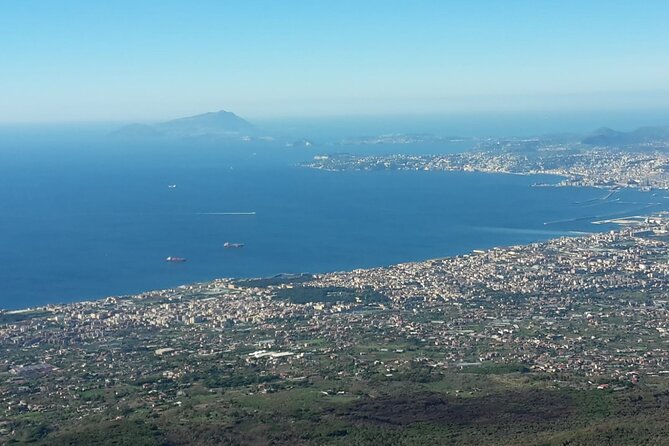 Mount Vesuvius Tour by Bus and Ticket Included From Ercolano - Tour Details and Inclusions