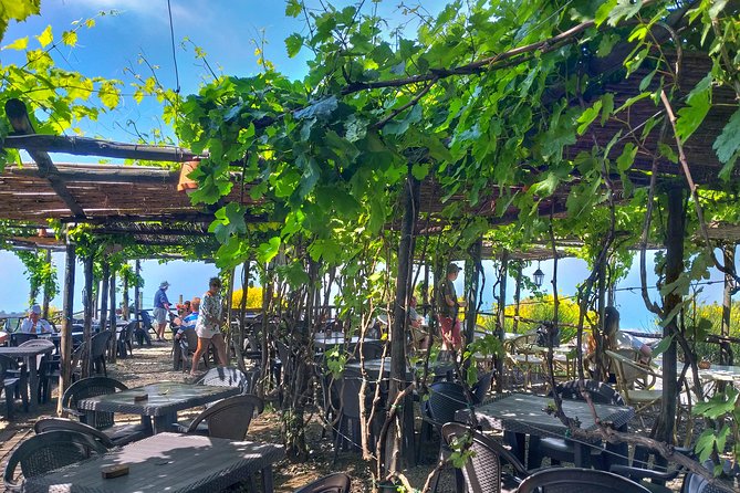 Mount Vesuvius Tour Plus Winery Lunch  - Sorrento - Pricing and Guarantee