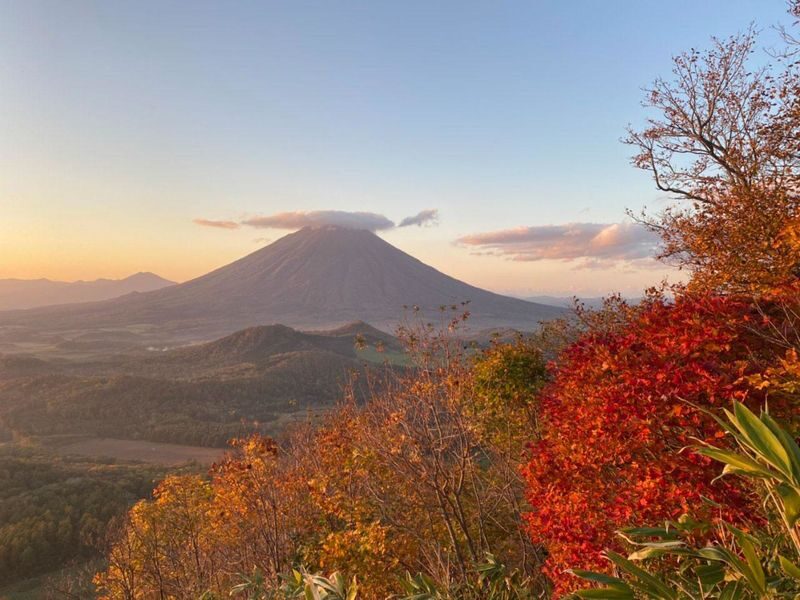 Mount Yotei & Lake Toya Autumn Maple Leaf One-Day Tour - What the five-star score does, and does not, tell you