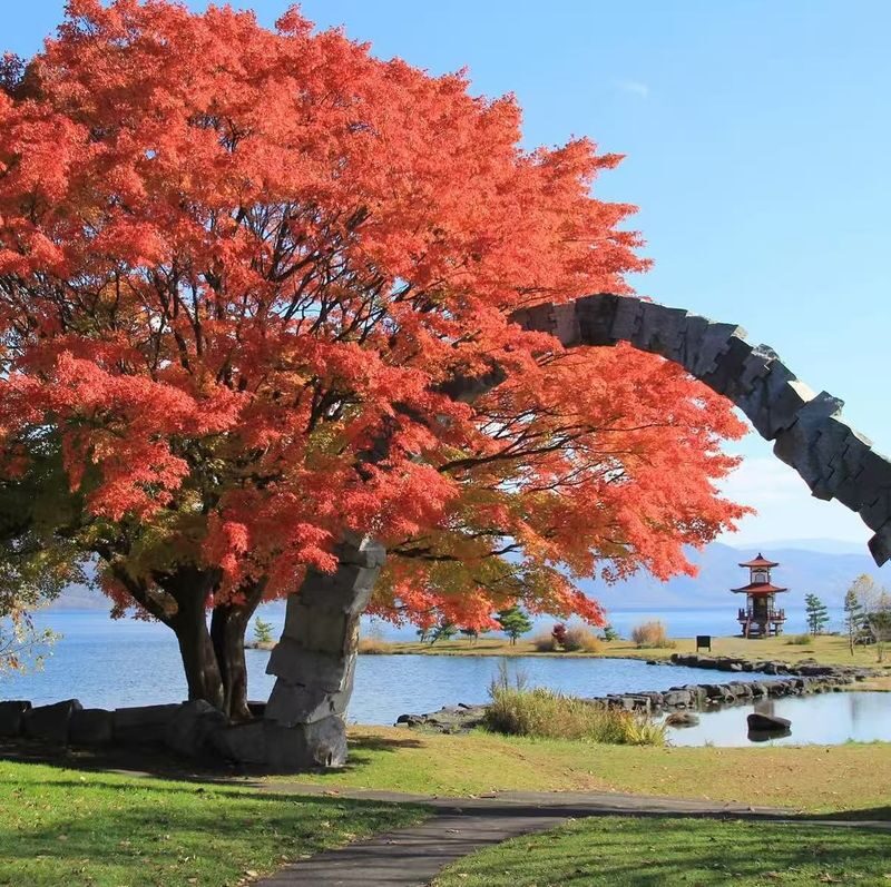 Mount Yotei & Lake Toya Autumn Maple Leaf One-Day Tour - Who will enjoy this day most?