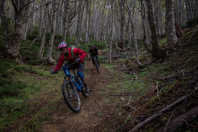 Mountain Bike Adventure in Punta Arenas - Tour Highlights