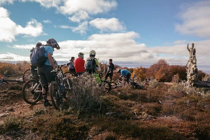 Mountain Bike Adventure in Punta Arenas - Traveler Testimonials