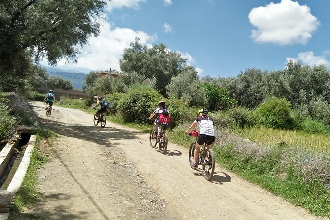 Mountain Bike Day Trip From Marrakech to Atlas Mountains - Activity Details