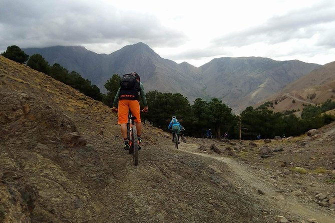 Mountain Bike Day Trip in Imlil - Whats Included