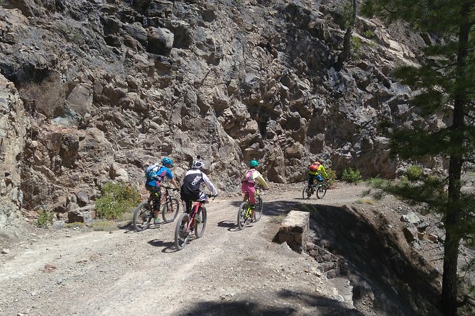 Mountain Bike Excursions - Traveler Photos, Reviews, and Pricing