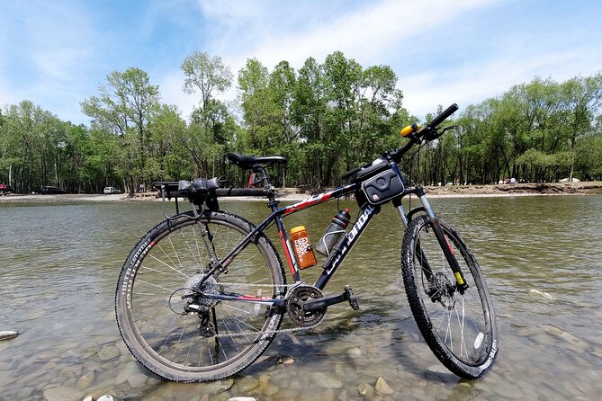 Mountain Bike Rental - Reviews and Feedback