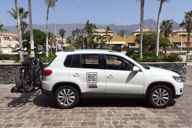 Mountain Bike Rental Tenerife - Customer Highlights and Testimonials