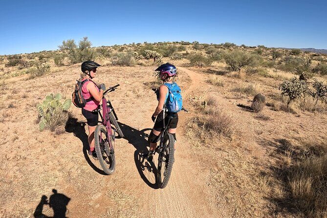 Mountain Bike Rentals - Introduction: Why Mountain Biking in Tucson Is a Must