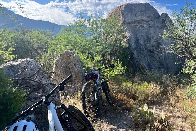 Mountain Bike Rentals - Who Will Love This Experience?