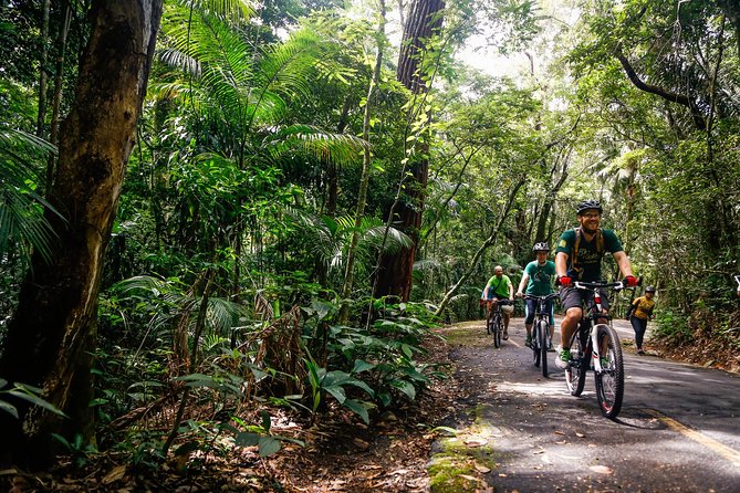 Mountain Bike Tijuca Rain Forest - Equipment Provided
