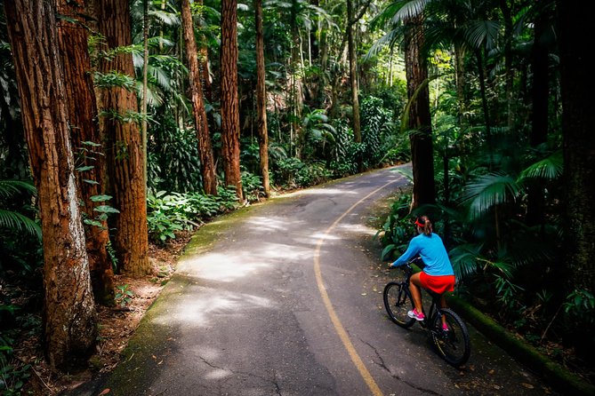 Mountain Bike Tijuca Rain Forest - Frequently Asked Questions