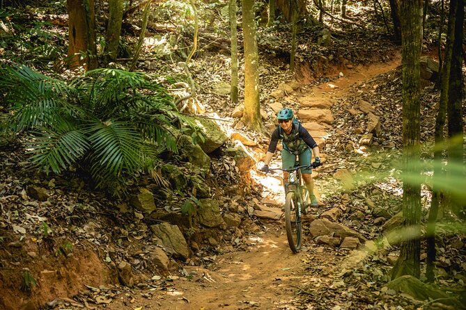 Mountain Bike Tour - Cairns - Overview and Experience