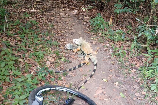 Mountain Bike tour to a Pristine Spring and Cave - Wrap-up and Return