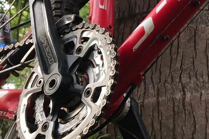 Mountain Bike Tours - Why This Tour Is Worth Considering