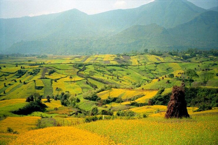 Mountain Biking in Kathmandu Day Tour - Tour Information and Booking Details