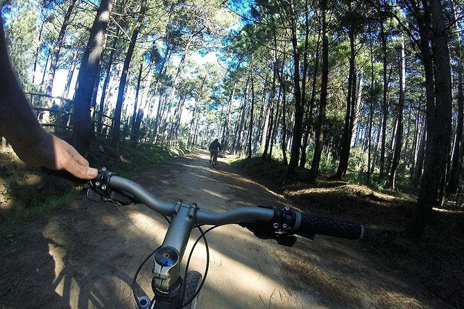 Mountain Biking in Sintra-Cascais Natural Park, Lisbon - Tour Pricing and Booking Details