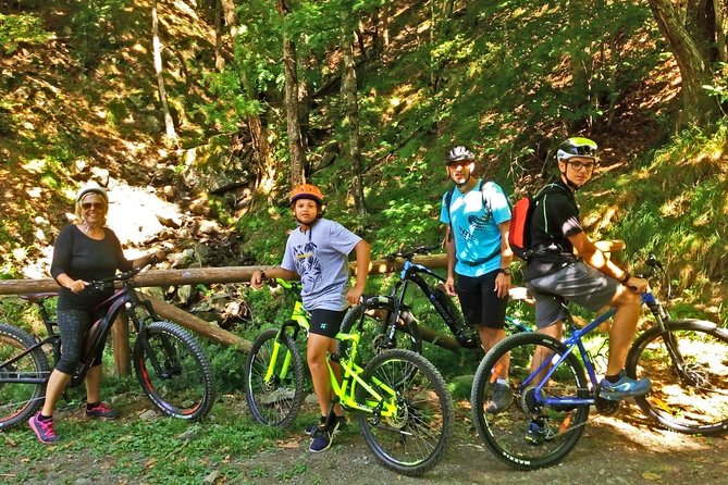 Mountain Biking in the Forest - Good To Know