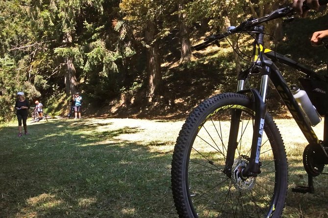 Mountain Biking in the Forest - Choosing the Right Trail