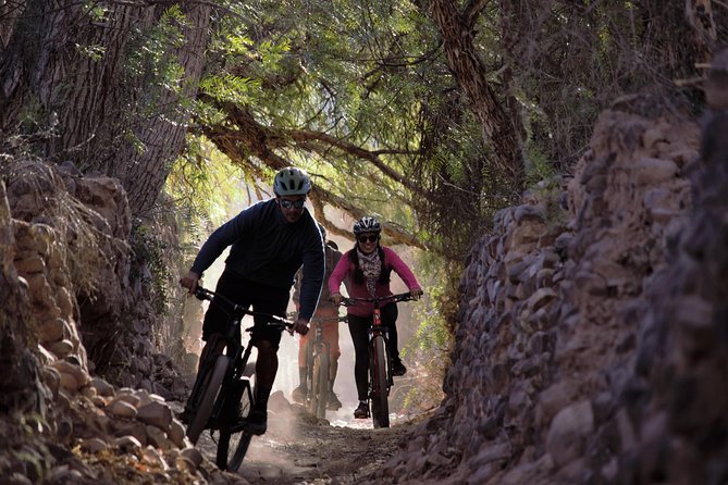 Mountain Biking in the Surroundings of Tilcara - Activity Details