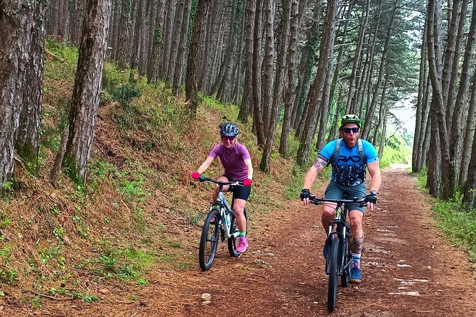 Mountain Biking on Vrmac Peninsula - Panoramic View on Kotor Bay - Tour Details