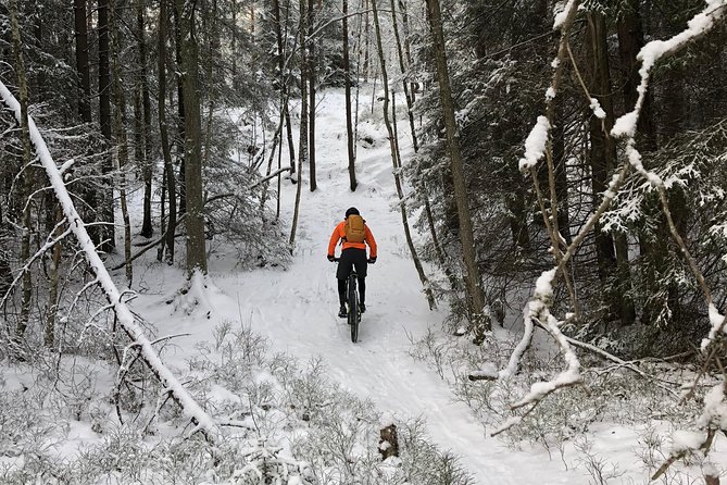 Mountain Biking Small-Group in Stockholm Forests for Beginners - Additional Information