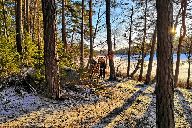 Mountain Biking Small-Group in Stockholm Forests for Beginners - Nackareservatet National Forest