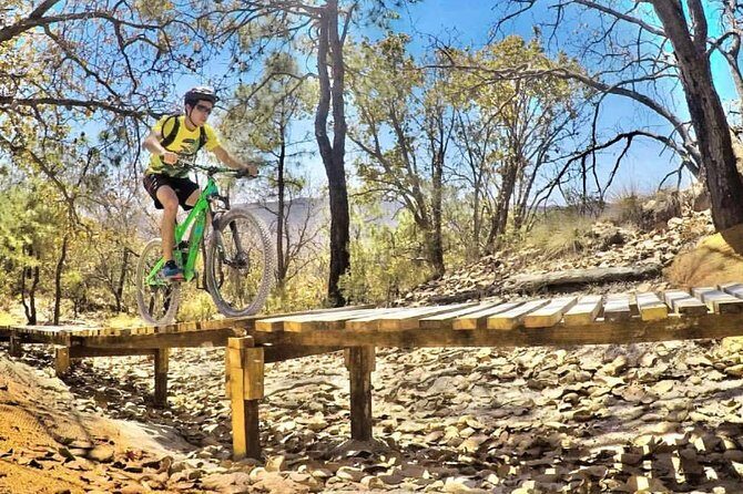 Mountain Biking Tour at La Primavera Forest - An In-Depth Look at the Mountain Biking Tour