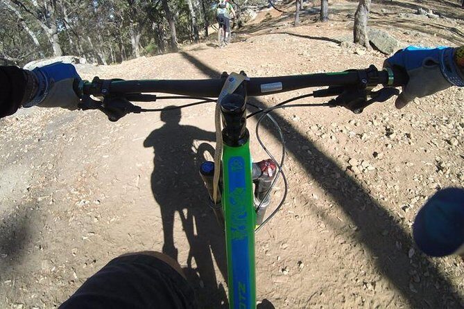 Mountain Biking Tour at La Primavera Forest - What’s Included and How Is the Experience?