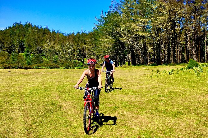 Mountain Biking Tour - Beginner Easy - The Best Trails for Beginner Mountain Bikers