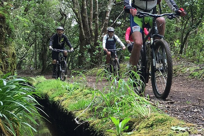Mountain Biking Tour - Trail Experience Tour - Inclusions and Exclusions