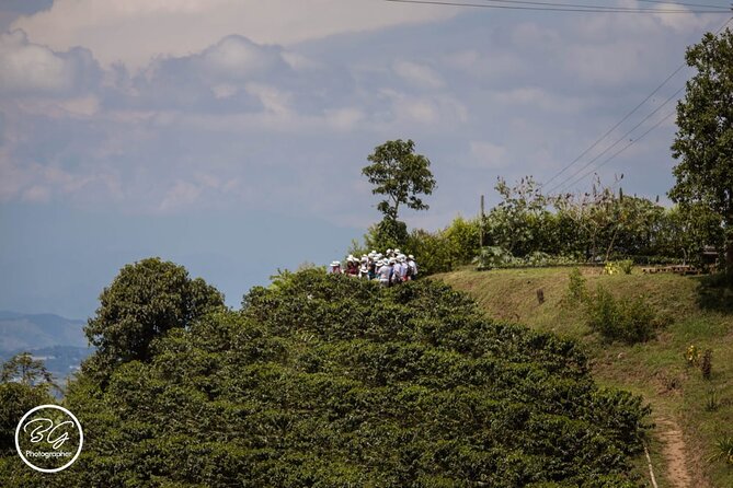 Mountain Coffee Tour: Savoring Smiles in Colombia - Tour Overview