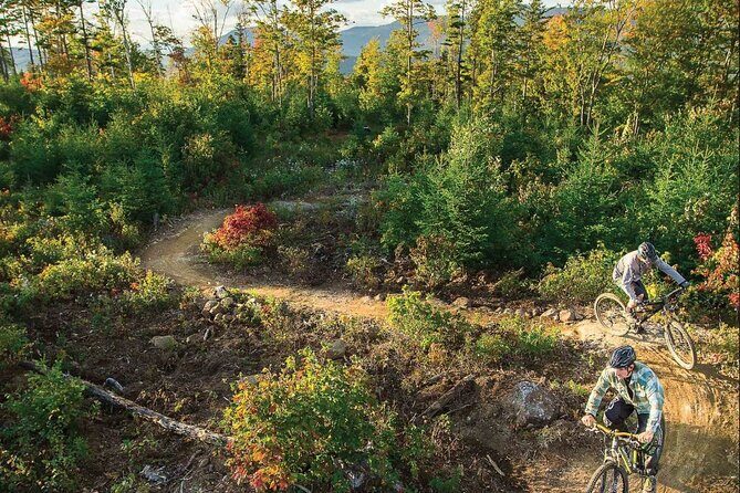 Mountain E Bike Adventure and Beer Tasting Lunch - Additional Considerations