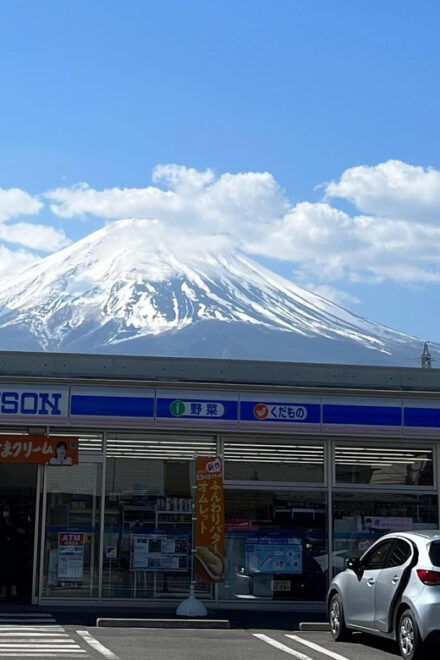 Mountain Fuji Instagram-Worthy Day Trip - Transportation Details