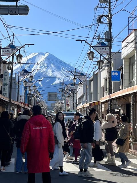 Mountain Fuji Instagram-Worthy Day Trip - Booking Information
