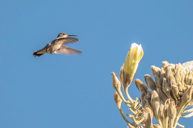 Mountain Hike & Rituals - A Complete Look at the Mountain Hike & Rituals Experience