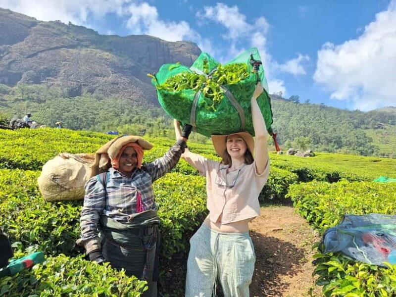 Mountain hiking in Munnar (Half day ) - Authentic Experiences and Reviews from Fellow Travelers