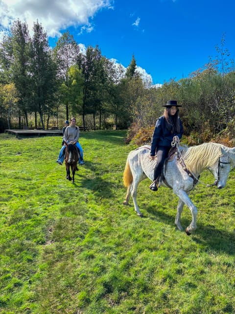Mountain Horseback Ride, Lunch, Wine Tasting - Exploring the Douro Valley on Horseback, with Lunch and Wine Tasting