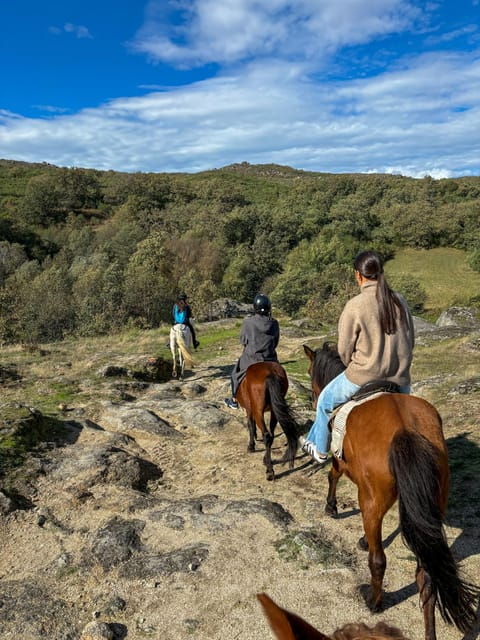 Mountain Horseback Ride, Lunch, Wine Tasting - Who Will Benefit Most from This Experience?