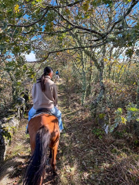 Mountain Horseback Ride, Lunch, Wine Tasting - FAQs
