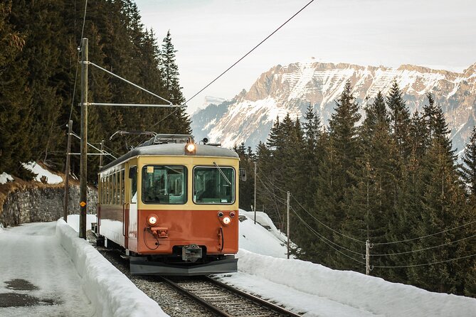 Mountain Majesty: Small Group Tour to Lauterbrunnen and Mürren - Additional Information