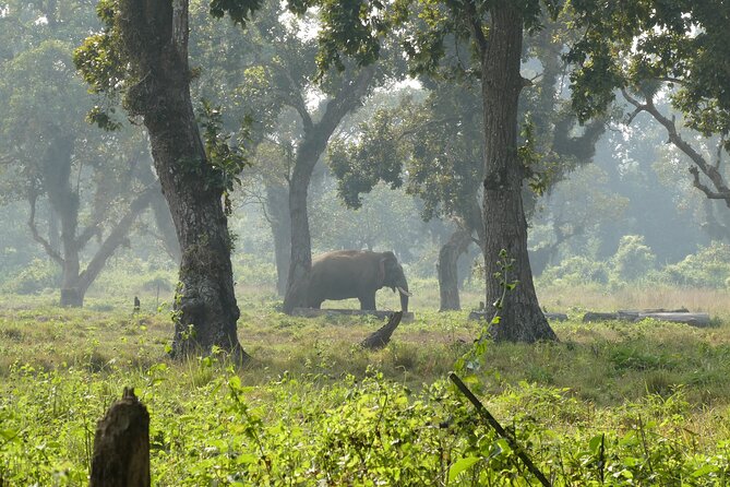 Mountain Panoramas in the Himalayas Private Tour - Tour Itinerary