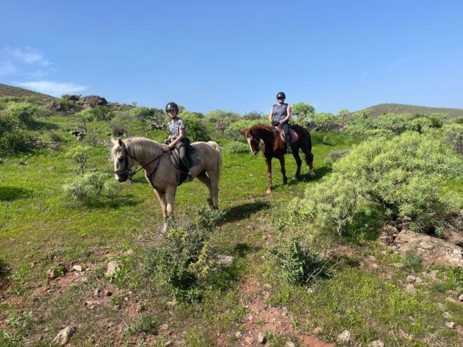 Mountain Panoramic Tour of 2 Hours - Booking and Cancellation Policy