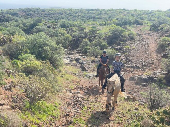 Mountain Panoramic Tour of 2 Hours - Activity Highlights and Description